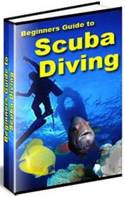 Product picture A BEGINNERS GUIDE TO SCUBA DIVING - A DIVING MUST HAVE!